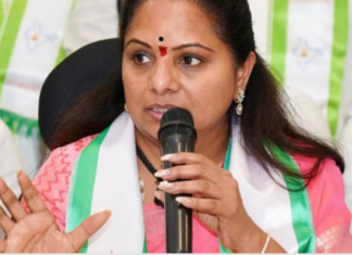 తమిళనాడులో విజయ్ గెలుపుపై స్పందించిన కవిత